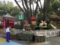 -广州长隆国际大马戏