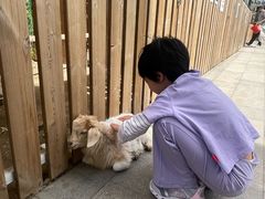 -廊坊固安福朋喜来登酒店