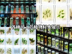 -广东中医药博物馆