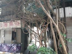 -非遗·爱西干面(小公园总店)