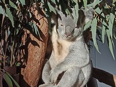 -费瑟代尔野生动物园