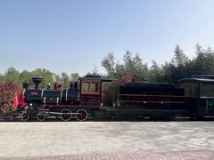 -微山湖红荷湿地景区