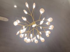 -佬肥猫(七宝宝龙店)