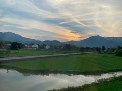 -黄牛肉馆·皖南土菜