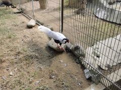 -杭州野生动物世界