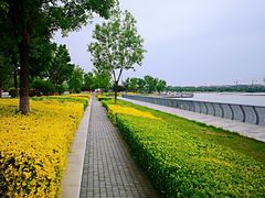 -武清南湖绿博园