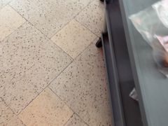 -浦江城市生活广场(江月路店)