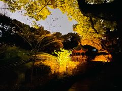 -申粤轩酒楼·三十年粤菜经典(丁香花园店)