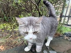 -眼镜粑粑