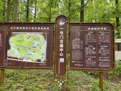-东平国家森林公园