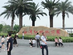 -宝安西湾红树林湿地公园