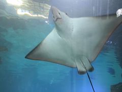 -福州罗源湾海洋世界旅游区