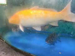 -AEON永旺(东方宝泰店)