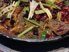 -老板恋上鱼(恒隆广场店)