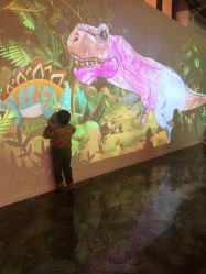 -恐龙探索乐园(磁器口店)