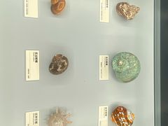 -天津古林古海岸遗迹博物馆