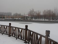 -张店儿童公园