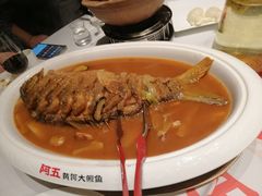 红烧黄河大鲤鱼-阿五黄河大鲤鱼(纬三路店)