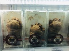 -全家便利店(梅园路店)