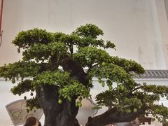 -迎宾楼(解放西街店)