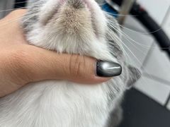 -唐小姐の猫狗洗护·购宠旗舰店(周浦万达店)