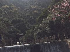 -太湖源风景区