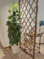 -JustHer宁波珈禾医疗美容医院