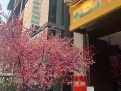 -肆兮眼镜·蔡司·徕卡战略合作店(大坪店)