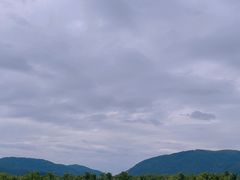 -亚龙湾国际玫瑰谷