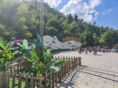 -西双版纳原始森林公园