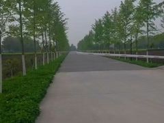 -汉景帝阳陵博物院