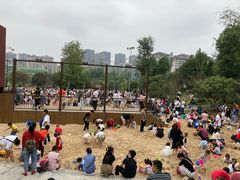 -枫香湖儿童公园