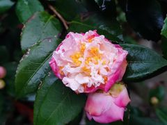 -行人小筑·茶馆(岑村火炉山分店)