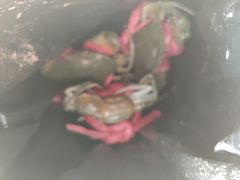 -霞涌市场海鲜摆卖区