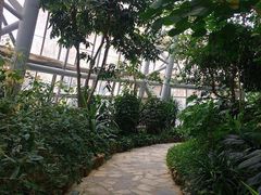 -郑州植物园