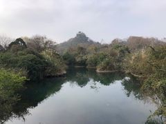 -花溪公园