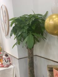 -爱睫物语·疗愈美睫美甲
