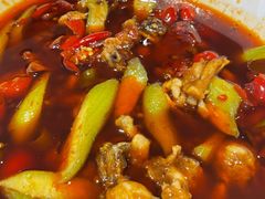 麻辣馋嘴蛙-渝信川菜(工体店)
