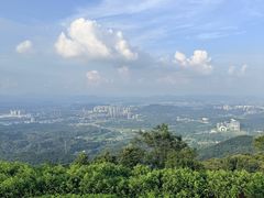 -黄埔油麻山森林公园
