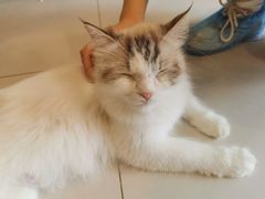 -平行世界·猫咖(首经贸店)