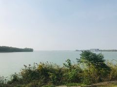 -漕湖湿地公园