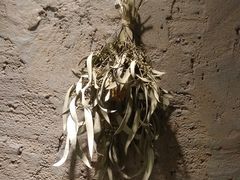 -Kekimatata 生日蛋糕·烘焙教学