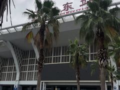 -海口东站
