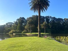 -墨尔本皇家植物园