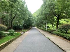 -长谷洞天