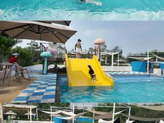 -爪吧宠物乐园 (温榆河示范区店)