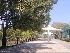 -新江湾城公园