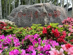 -上海醉白池公园
