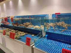 -新加坡瑞珍•海河观景餐厅
