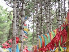 -康定跑马山风景区